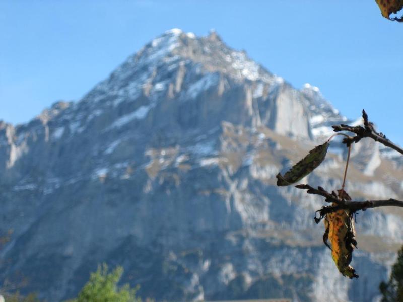 Hotel Gletschertal グリンデルヴァルト エクステリア 写真